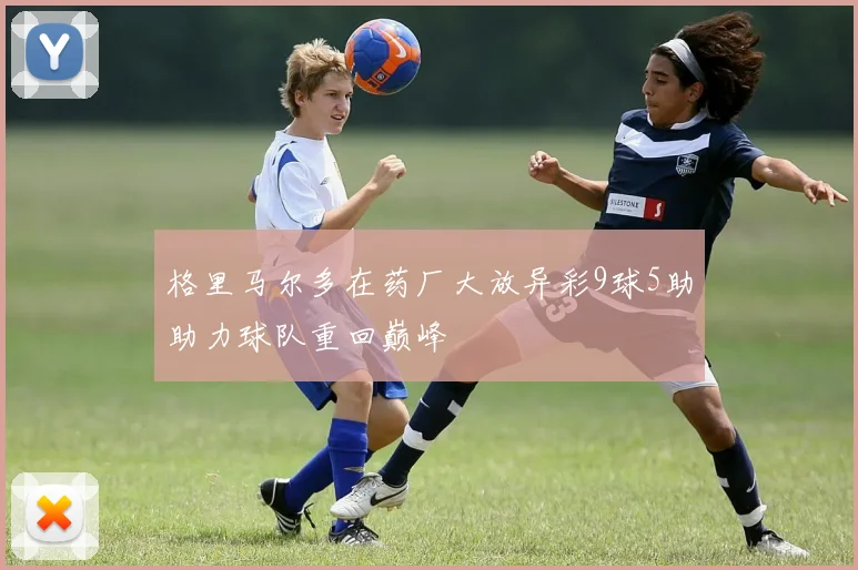 格里马尔多在药厂大放异彩9球5助助力球队重回巅峰