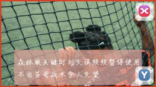 森林狼关键时刻失误频频暂停使用不当芬奇战术令人失望