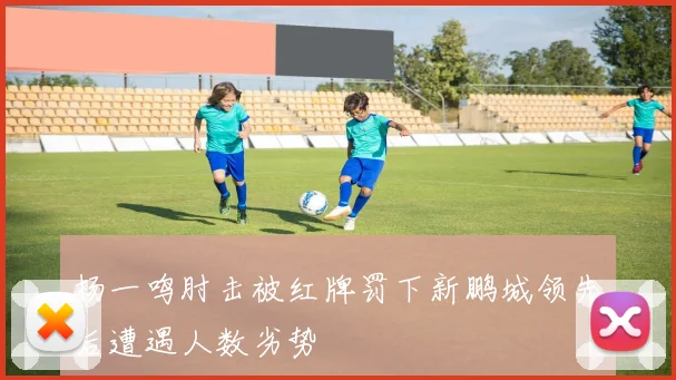 杨一鸣肘击被红牌罚下新鹏城领先后遭遇人数劣势