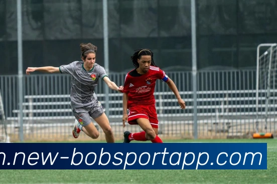 App Interface Preview